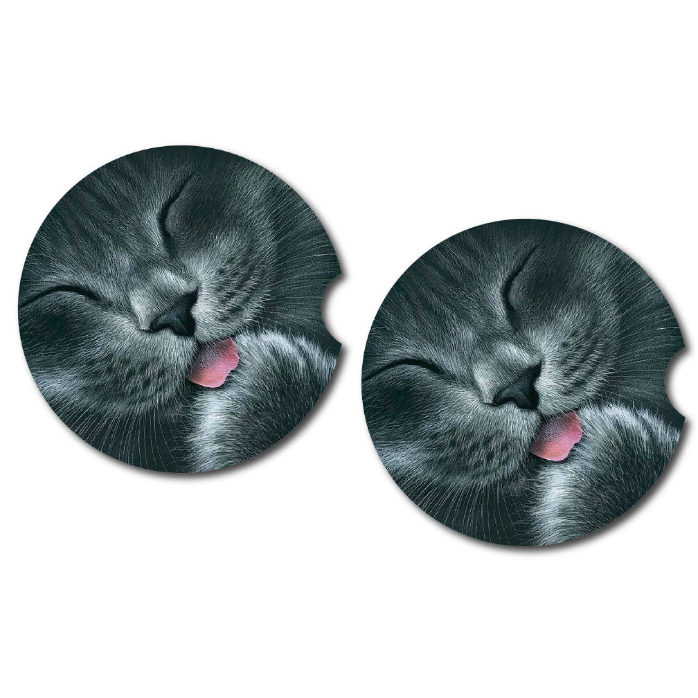 Grey Cat Car Coasters | Set of Two