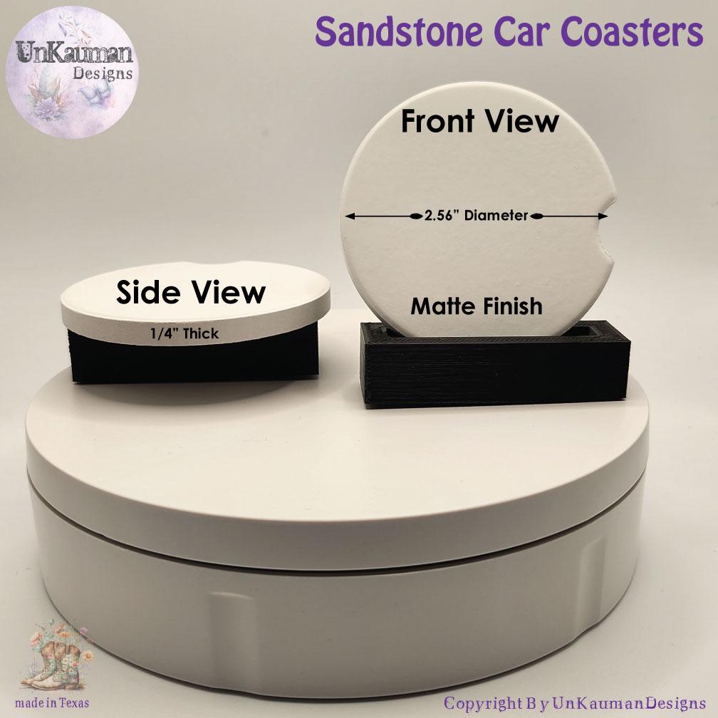 Vampire Damon Car Coasters Set of Two and/or Matching Key Chain